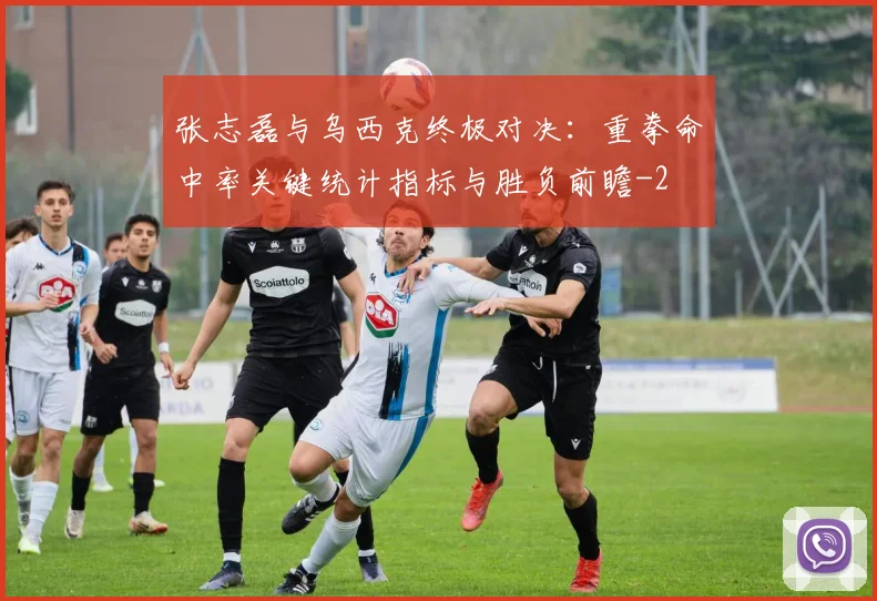 张志磊与乌西克终极对决：重拳命中率关键统计指标与胜负前瞻