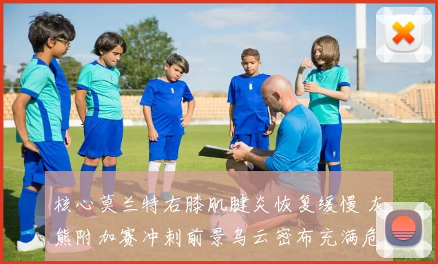 核心莫兰特右膝肌腱炎恢复缓慢 灰熊附加赛冲刺前景乌云密布充满危机