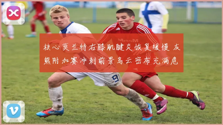 核心莫兰特右膝肌腱炎恢复缓慢 灰熊附加赛冲刺前景乌云密布充满危机