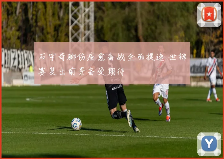 石宇奇脚伤痊愈备战全面提速 世锦赛复出前景备受期待