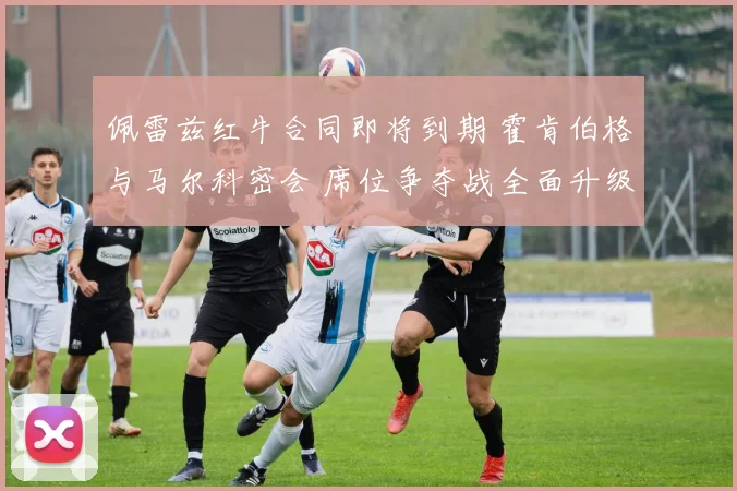 佩雷兹红牛合同即将到期 霍肯伯格与马尔科密会 席位争夺战全面升级